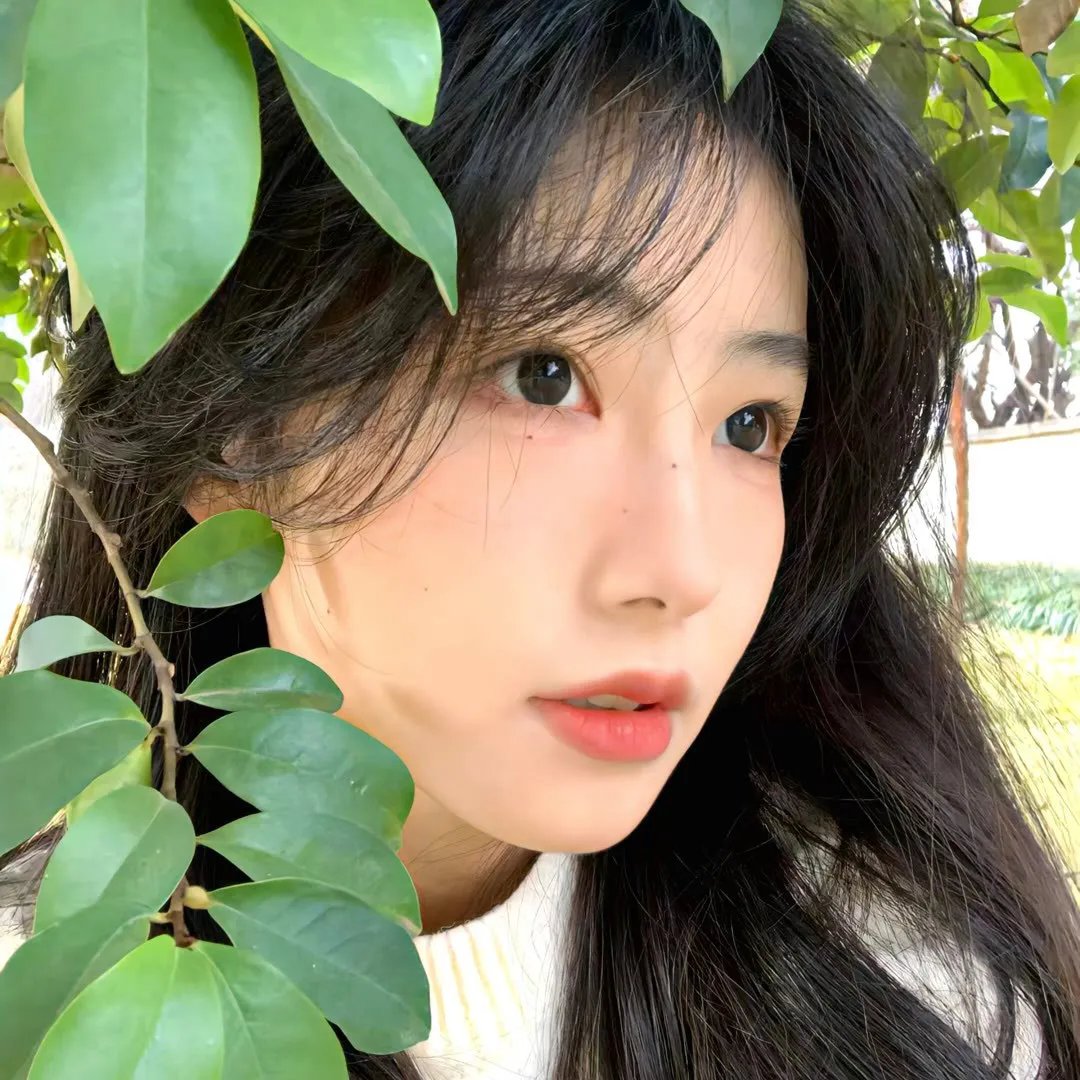 主播拯救世界