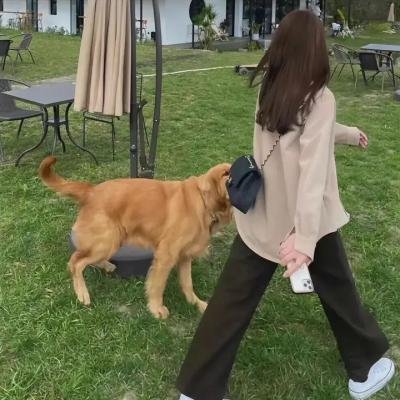 逃往你的心